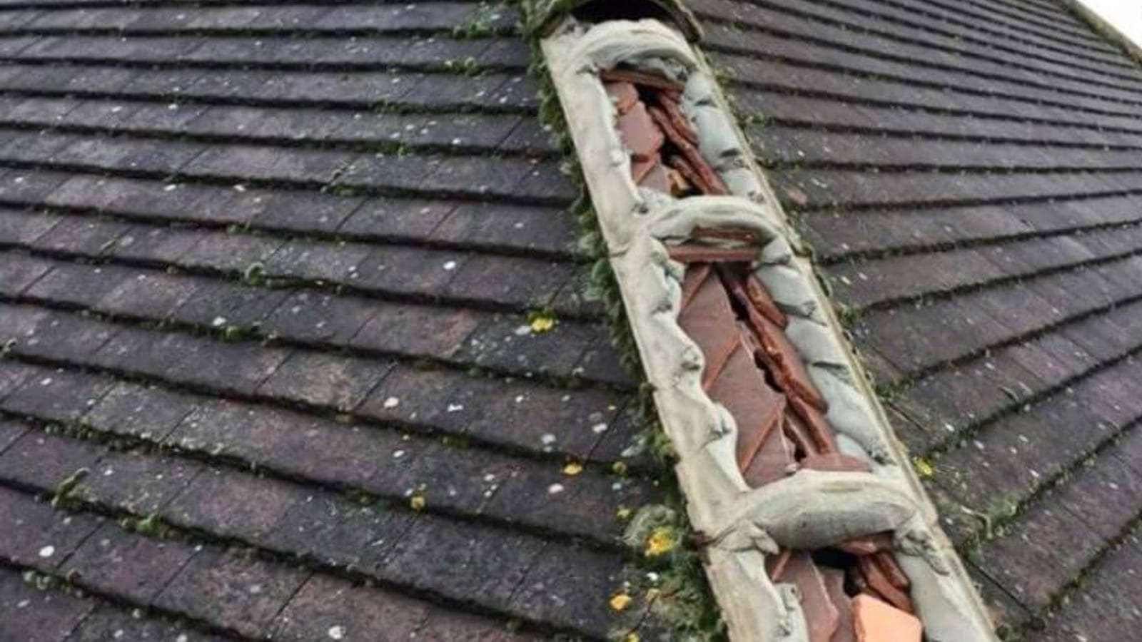 Roof Repairs